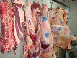خط بسته بندی و قطعه بندی گوشت