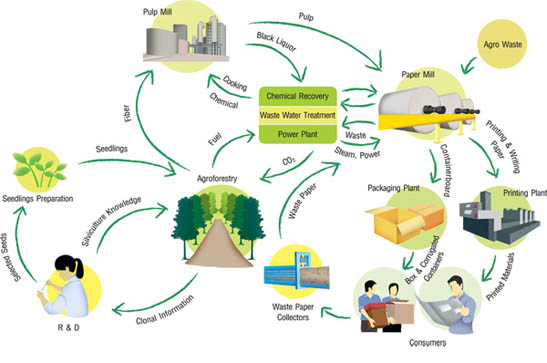 فرآیند تولید بازیافت‌ کاغذ و مقوا