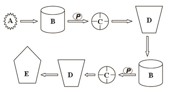 pepton line